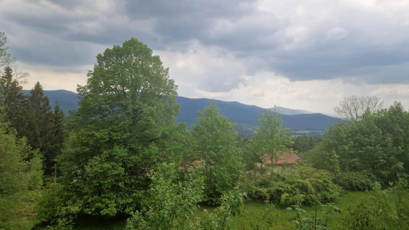 Schoene Unterkunft In Lohberg Mit Grillplatz Und Balkon エクステリア 写真